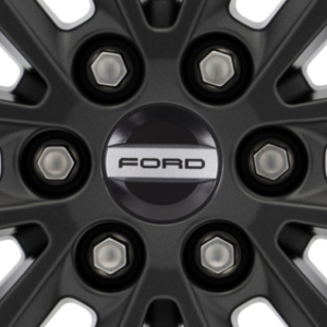 Črn pokrov platišča z logotipom Ford